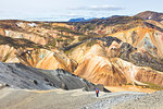 A trekker is coming down from the summit of Blahnukur mountain (Landmannalaugar, Fjallabak Nature Reserve, Highlands, Southern Region, Iceland, Europe) (MR)