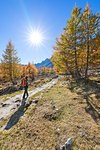 A girl is walking in the Alpe Veglia and Alpe Devero Natural Park in autumn season (Buscagna Valley, Alpe Devero, Baceno, Verbano Cusio Ossola province, Piedmont, Italy, Europe) (MR)