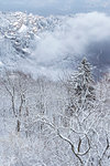 View of Santa Maria del Monte after a snowfall in winter from the Campo dei Fiori. Campo dei Fiori, Varese, Parco Campo dei Fiori, Lombardy, Italy.