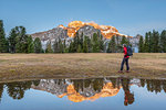 Prato Piazza/Plätzwiese, Dolomites, South Tyrol, Italy. The Croda Rossa d'Ampezzo is reflected at sunrise in a pool on the Prato Piazza