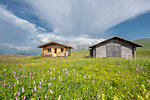 Alpe di Siusi/Seiser Alm, Dolomites, South Tyrol, Italy.