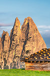 Alpe di Siusi/Seiser Alm, Dolomites, South Tyrol, Italy. Sunrise on the Alpe di Siusi with the peaks of Santner and Euringer