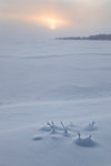 Twilight and mist on the snowy landscape, Muonio, Lapland, Finland, Europe.