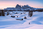 Alpe di Siusi/Seiser Alm, Dolomites, South Tyrol, Italy. Sunrise on the Alpe di Siusi / Seiser Alm with the peaks of Sassolungo / Langkofel and Sassopiatto / Plattkofel.