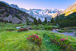 Aviolo lake in Adamello park, Lombardy district, Brescia province, Vallecamonica, Italy.