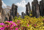 Stone Forest, Shilin, Yunnan, China