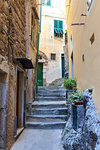 Alley in the old town, Vernazza, Cinque Terre, province of La Spezia, Liguria, Italy