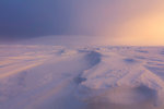 Twilight and mist on the snowy landscape, Pallas-Yllastunturi National Park, Muonio, Lapland, Finland