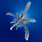 Little planet projection of a panoramic photo of a lapland woods immersed in snow near kuusamo, lapland, finland, europe