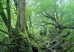 Kagoshima Prefecture, Japan