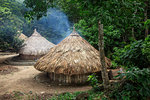 Circular huts in Pueblito, a Kogi indigenous village in Tayrona National Park, Colombia, South America