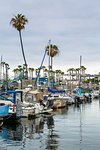 King Harbor, Redondo Beach, California, United States of America, North America