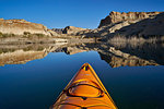 Bluff and stand of bushes reflected in Lake Powell from a kayak, Glen Canyon National Recreation Area, Utah, United States of America, North America