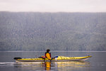 Man kayaking in lake, Johnstone Strait, Telegraph Cove, Canada