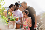 Multi-generation family gardening, potting flowers in sunny yard