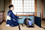 Japanese woman wearing traditional bright blue kimono with cream coloured obi kneeling on floor, using a  Hishaku, a bamboo ladle, during a tea ceremony.