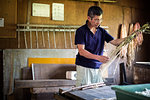 Japanese man in a workshop holding plant twigs and stripping the fibre to making traditional Washi paper.