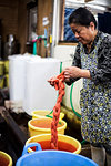 Japanese woman standing in a textile plant dye workshop, holding piece of freshly dyed bright orange fabric.