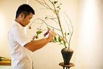 Japanese man standing in flower gallery, working on Ikebana arrangement.