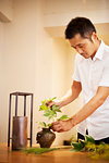 Japanese man working in a flower gallery, working on Ikebana arrangement.