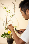 Japanese man working in a flower gallery, working on Ikebana arrangement, using secateurs.
