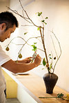 Japanese man working in a flower gallery, working on Ikebana arrangement.