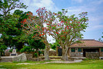 Townscape in Taketomi Island, Okinawa Prefecture, Japan