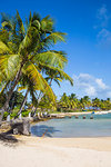 Clifton Harbour, Union Island, The Grenadines, St. Vincent and The Grenadines, West Indies, Caribbean, Central America