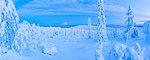 Snow covered winter landscape, Lapland, Pallas-Yllastunturi National Park, Lapland, Finland, Europe
