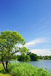 Lake Ezu, Kumamoto Prefecture, Japan