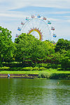 Ferris Wheel
