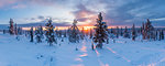 Snow covered winter landscape at sunrise, Lapland, Pallas-Yllastunturi National Park, Lapland, Finland, Europe
