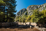 Ruins of Olympos, Antalya Province, Lycia, Anatolia, Mediterranean Sea, Turkey, Asia Minor, Eurasia