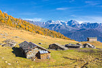 Stone huts and colorful woods in autumn with Bernina Group on background, Alpe Arcoglio Valmalenco, Valtellina, Lombardy, Italy, Europe