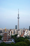 View over city with Tokyo Skytree and Five-Storied Pagoda, Tokyo, Japan, Asia
