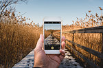 Man's hand holding smart phone taking photograph of winter field