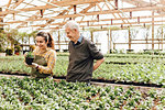 Garden centre worker talking to senior man