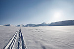 Tire tracks in snow-covered field