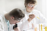 Students working in science lab