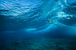 Underwater view of surfer in waves