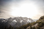 Mountains and trees in rural landscape