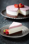 Plate of ice cream cake with fruit