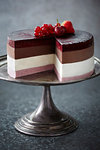 Plate of ice cream cake with fruit