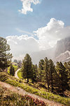 Valley view, Corvara, Alta Badia South Tyrol, Italy