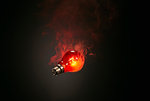 Still life of red smoking illuminated lightbulb