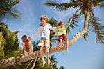 Boy and sisters jumping from palm tree, Rawa Island Malaysia