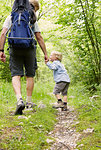 Mature male hiker hiking with two sons in forest, Bovec, Soca, Slovenia