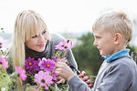 Mother and son cutting organic flowers in garden