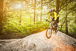 Mature male mountain biker cycling over mound in forest