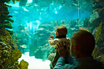 Father and son at aquarium